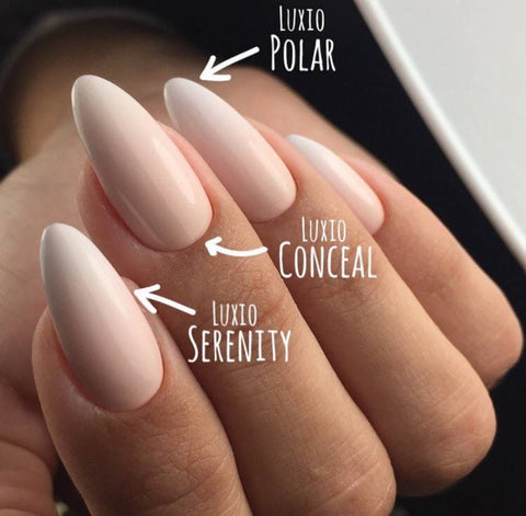 Luxio Conceal (C) - DK BEAUTY