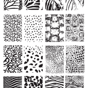 CJS Textured Essentials Wild Kingdom - DK BEAUTY