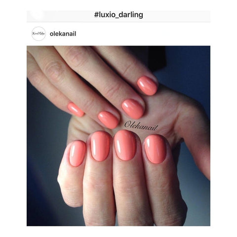 Luxio Darling (C) - DK BEAUTY