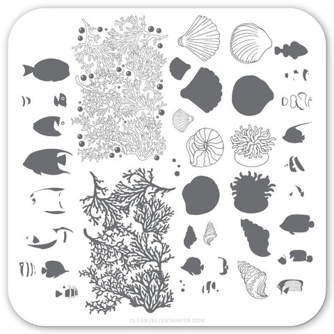 Clear Jelly Stamper - Suzie's Tropical Fish - DK BEAUTY