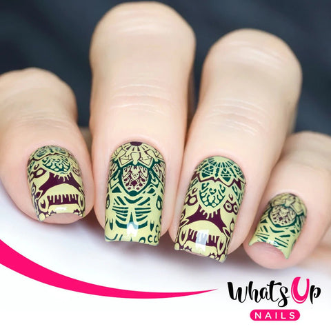 Whats Up - Mandala Universe - DK BEAUTY