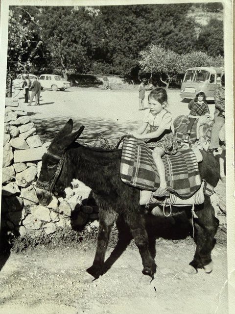 From the Mountains of Spain to My Kitchen — How Donkey Milk Soap Changed My Life