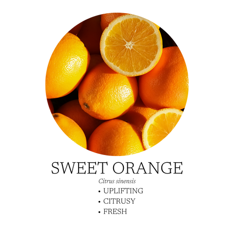 Citrus Mist Surface Cleaner