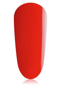 TGB Candy - DK BEAUTY