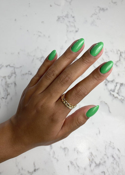 TGB Bottega - DK BEAUTY