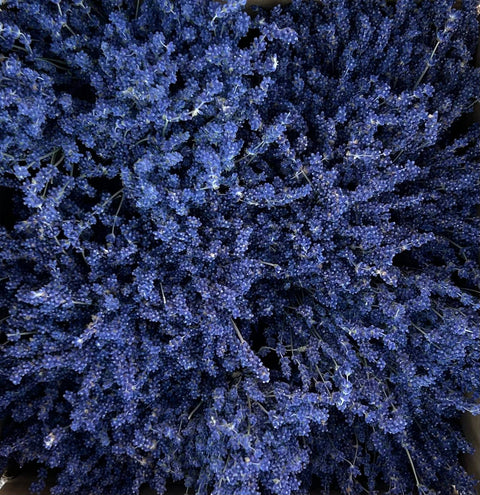 Lavender Creek Farm - Dried English Lavender Bouquets - Deep Purple