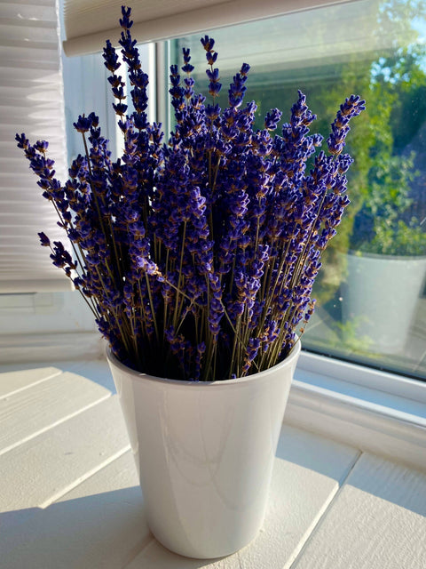 Lavender Creek Farm - Dried English Lavender Bouquets - Deep Purple