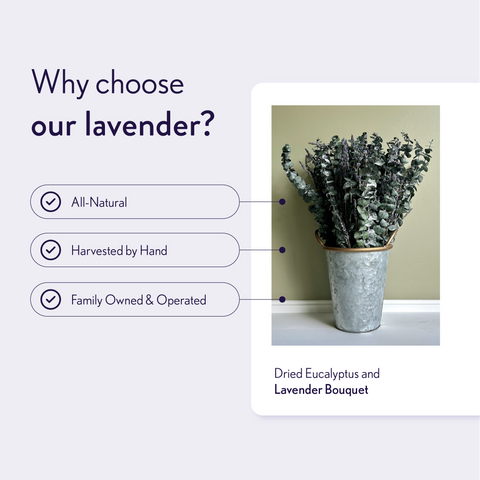 Lavender Creek Farm - Dried Lavender and Eucalyptus Bouquets