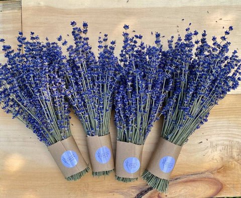Lavender Creek Farm - Dried English Lavender Bouquets - Deep Purple