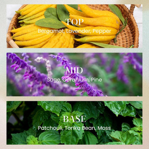 Midsummer Evening Reid Diffuser