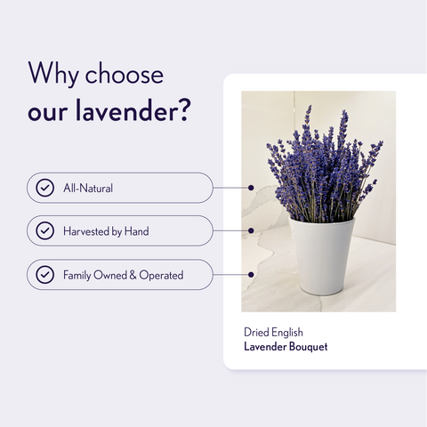 Lavender Creek Farm - Dried English Lavender Bouquets - Deep Purple