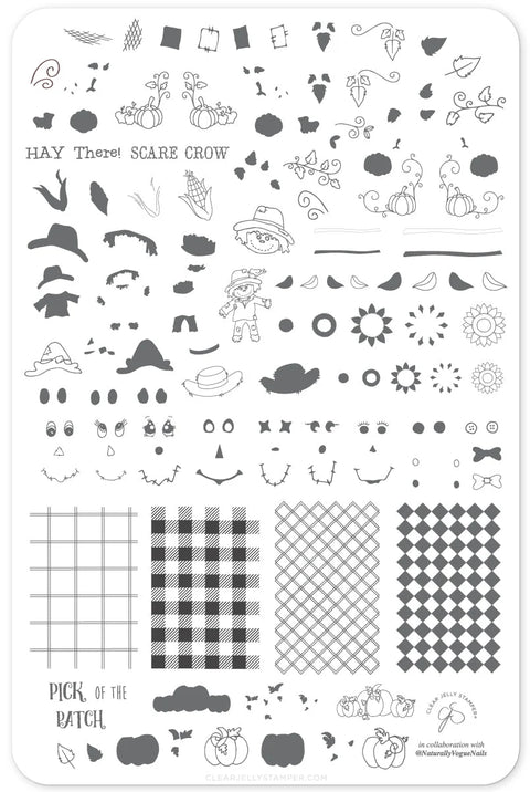 NEW Clear Jelly Stamper Pick of the Patch Fall Stamping Plate