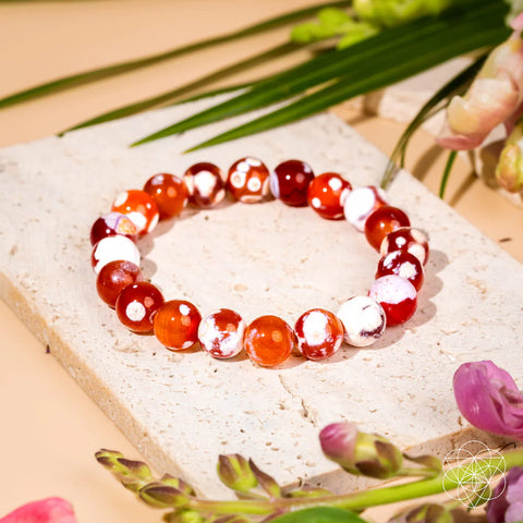 Feminine Force Carnelian Orca Agate Bracelet