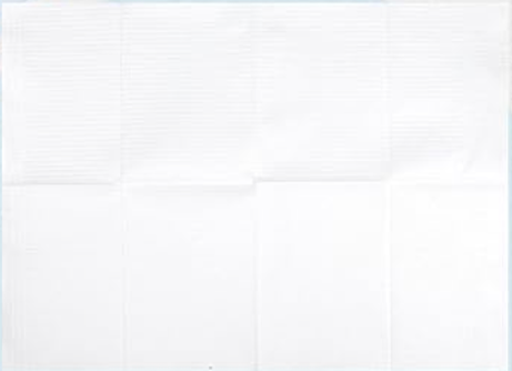 Salon/Dental Bibs 160 Piece