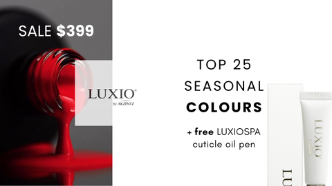 Luxio Fall / Winter 2025 Seasonal's Top 25pc