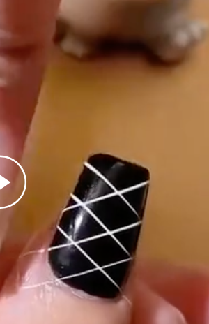 Spider Gel Metal Nail Brush Kit