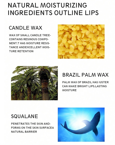 Waterproof Lip Liner Set (12 Piece)