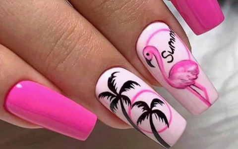 Nail Stamping Plate — Tropical Palm Tree