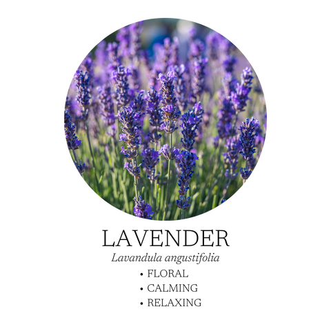 Sleep Well Essential Oil Blend 10 mL