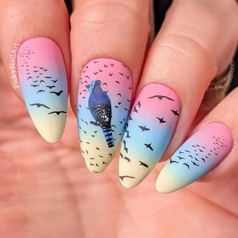 Clear Jelly Stamper - Talk Birdy to Me