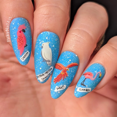 Clear Jelly Stamper - Talk Birdy to Me