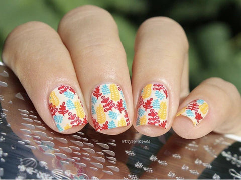 CJS - Fallpaper Happy Fall Y'all - DK BEAUTY