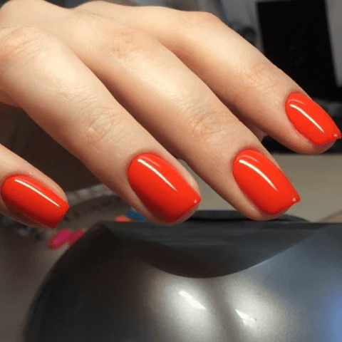 Luxio Pulse (C) - DK BEAUTY