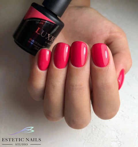 Luxio Swan (C) - DK BEAUTY