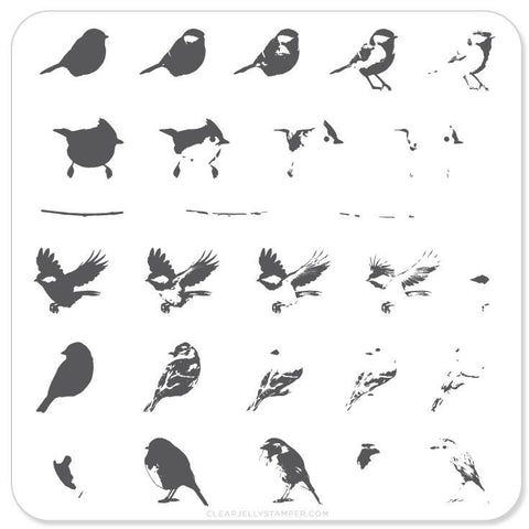 CJS Itty Bitty Birds Stamping Plate