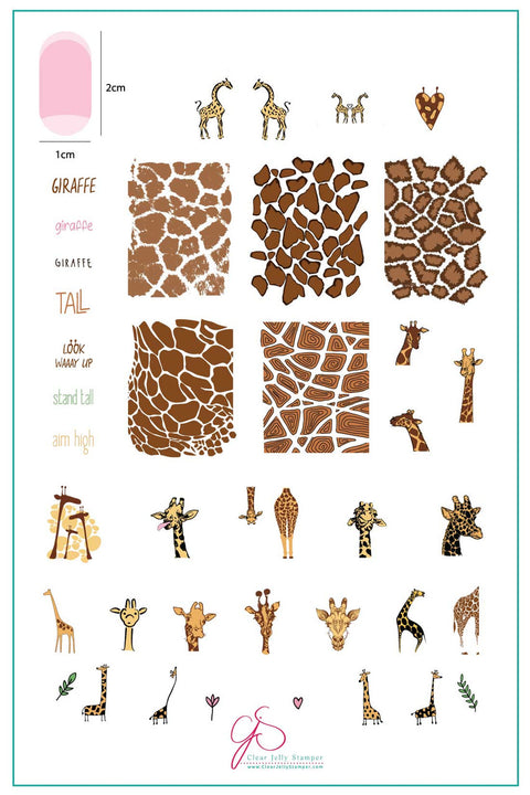 Clear Jelly Stamper - Wild Kingdom Giraffe