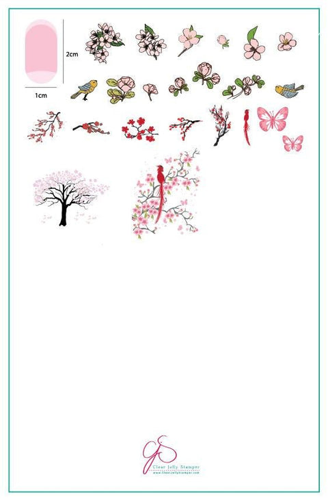 Clear Jelly Stamper - Sakura - DK BEAUTY