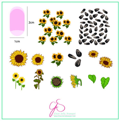 CJS - Sunflowers