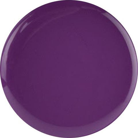 Fuzion Paintz Purple 107 8g - DK BEAUTY