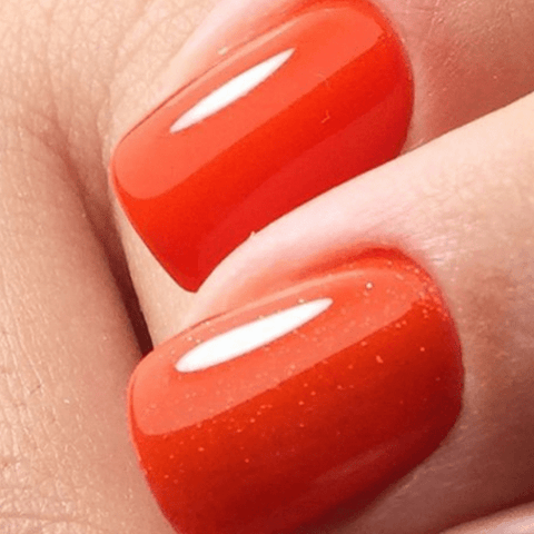 Luxio Calypso (Sparkle) - DK BEAUTY