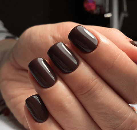 Luxio Cocoa (C) - DK BEAUTY