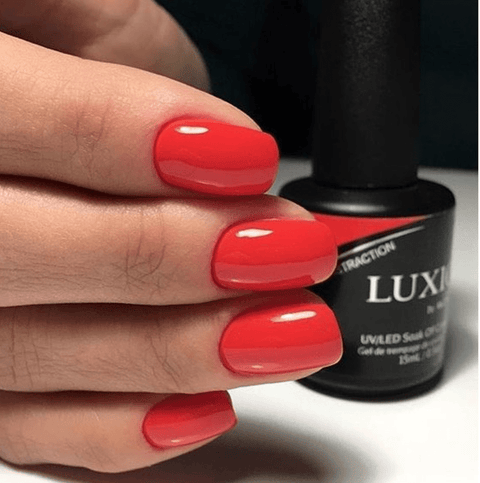 Luxio Distraction (C) - DK BEAUTY
