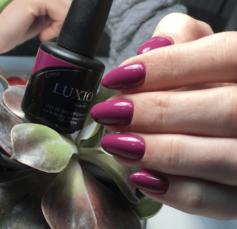 Luxio Gypsy (C) - DK BEAUTY