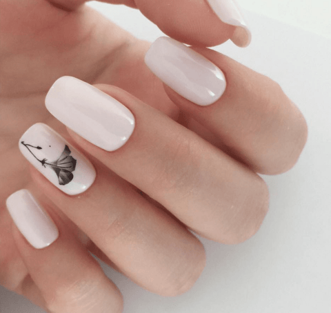 Luxio Ivory (C) - DK BEAUTY