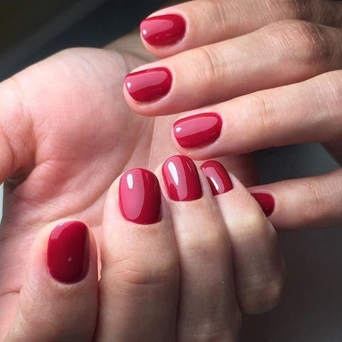Luxio Ruby (C) - DK BEAUTY